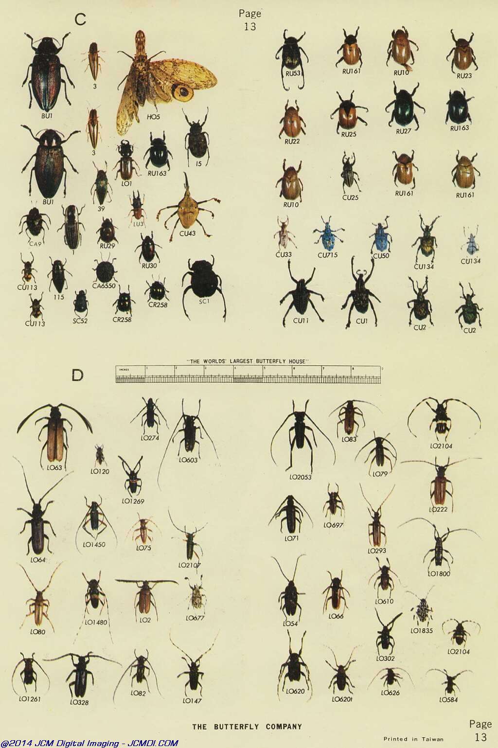 The Butterfly Company (NY) 18 page catalog 1976